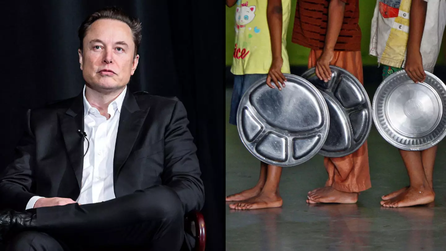 Elon Musk Faces Backlash For Buying Twitter Rather Than Addressing World Hunger