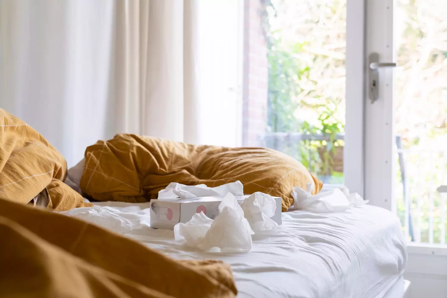 It's time to get to the bottom of the debate. (Getty Stock Image)