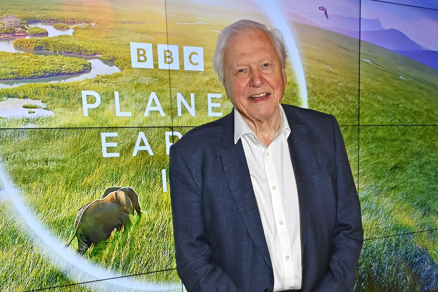 Sir David Attenborough has a new nature show on our screens.