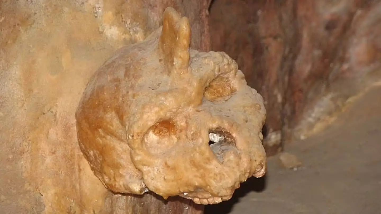 Scientists left shocked by skull found in cave wall that analysis shows isn’t human