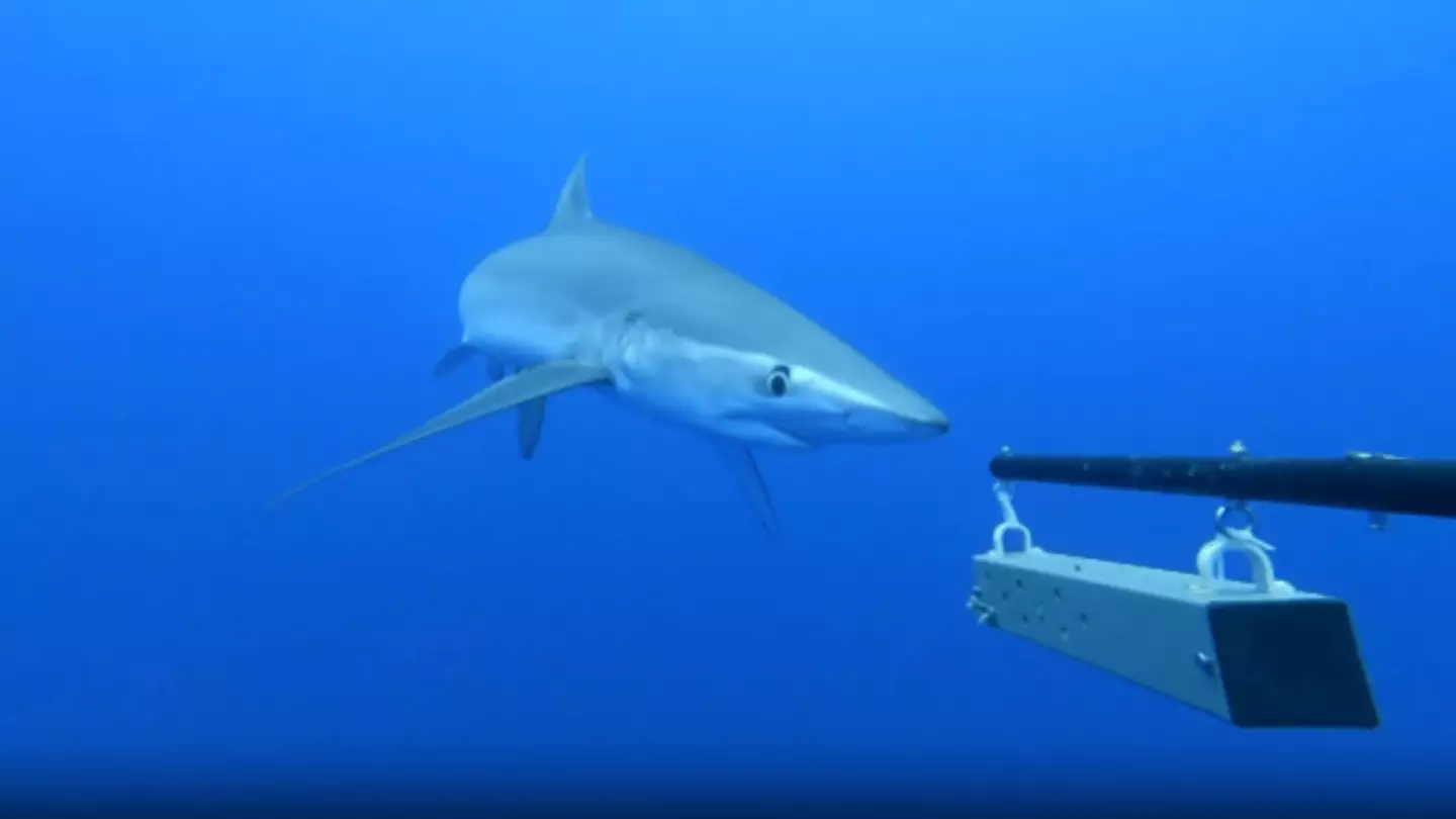 University of Exeter, Centre for Ecology and Conservation