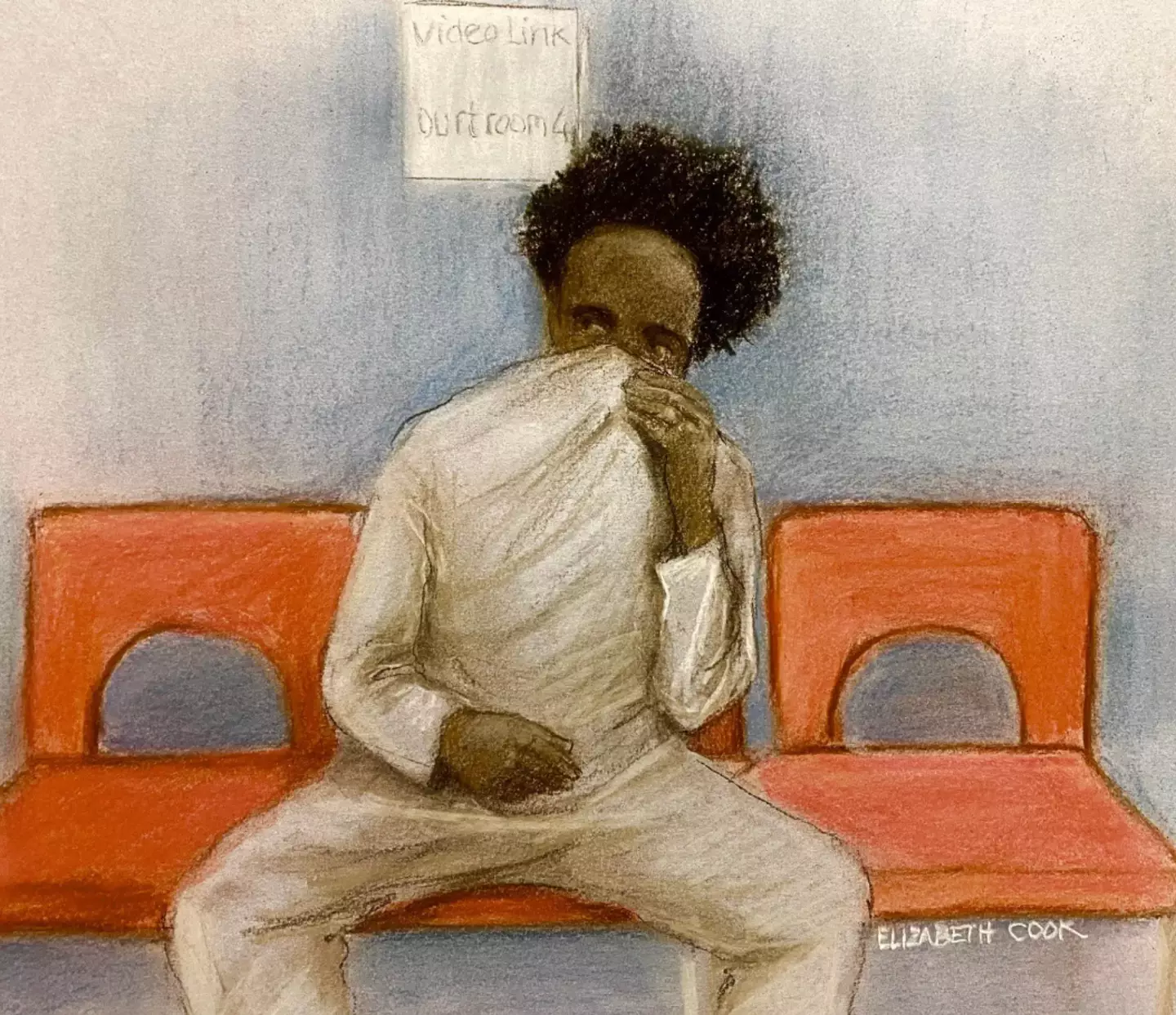 One had apparently discussed copying Rudakubana. (PA)