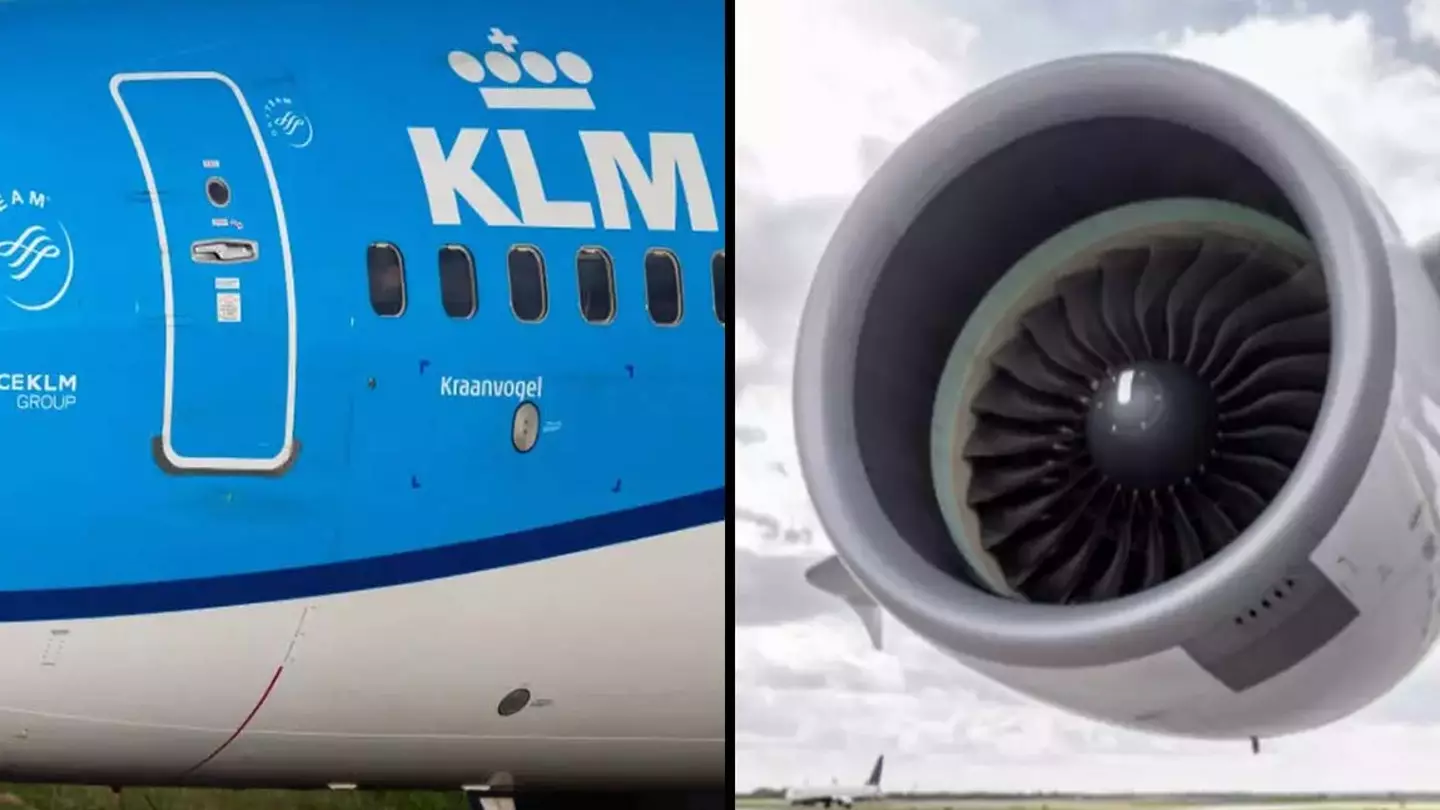 Police say Amsterdam airport employee 'deliberately climbed into jet engine' before horror death