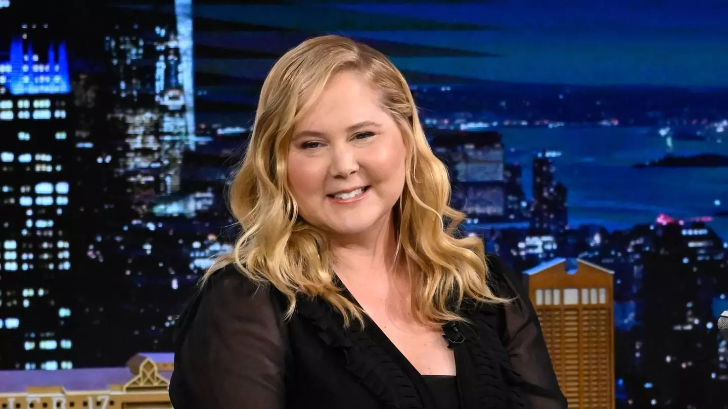 Amy Schumer hit back after people commented about her face online.