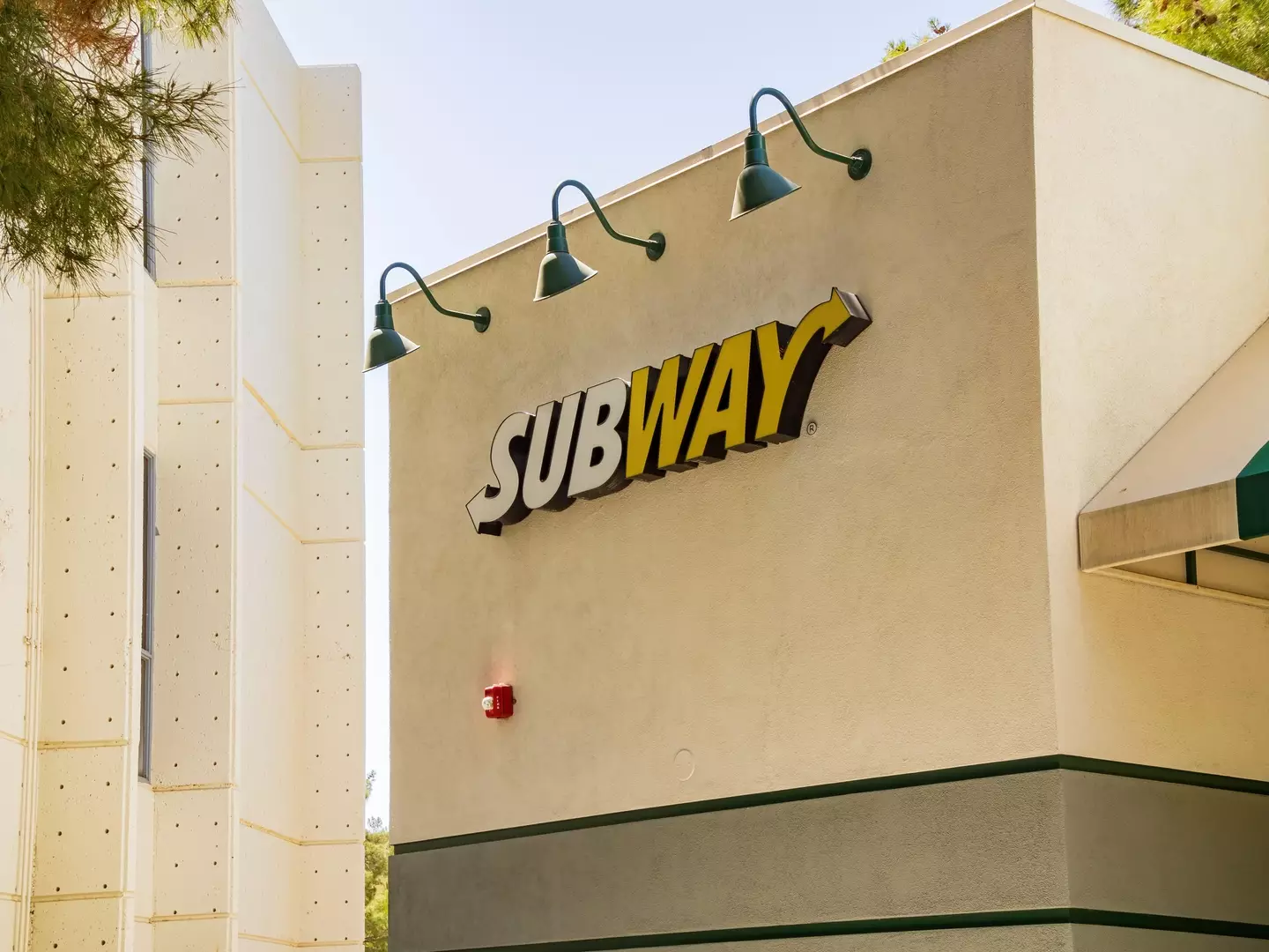 Subway is offering free sandwiches for life to anyone who gets a footlong ink.