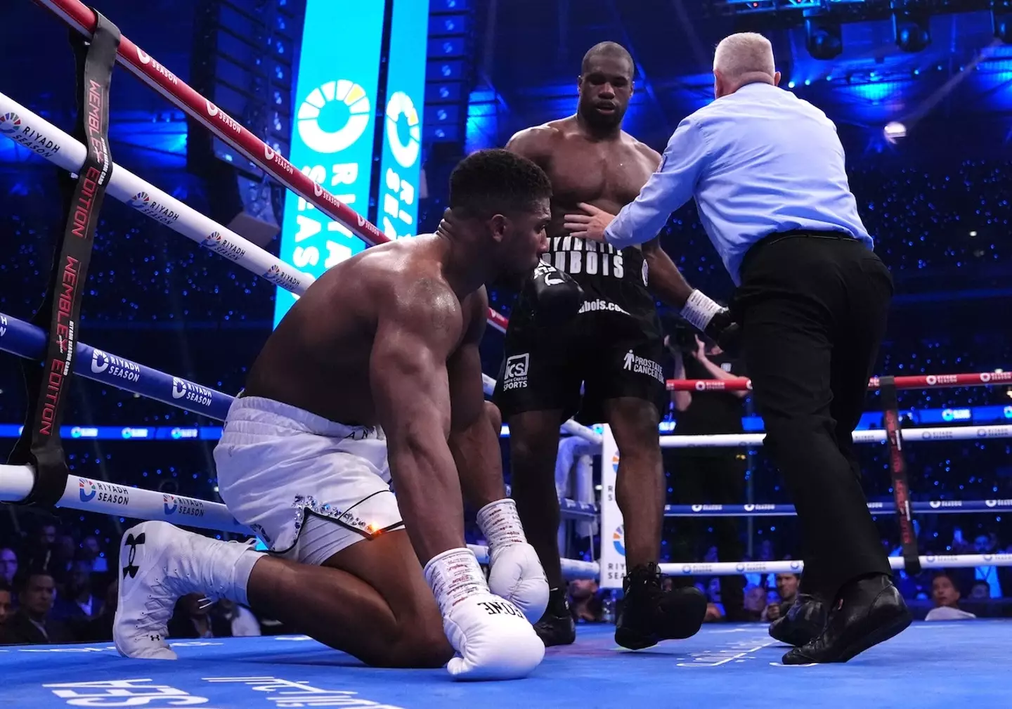 One commentator predicted exactly how AJ would be knocked out (PA)