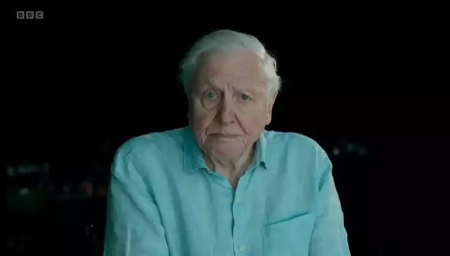 In recent years, Sir David has been urging people to take real action to save the planet.