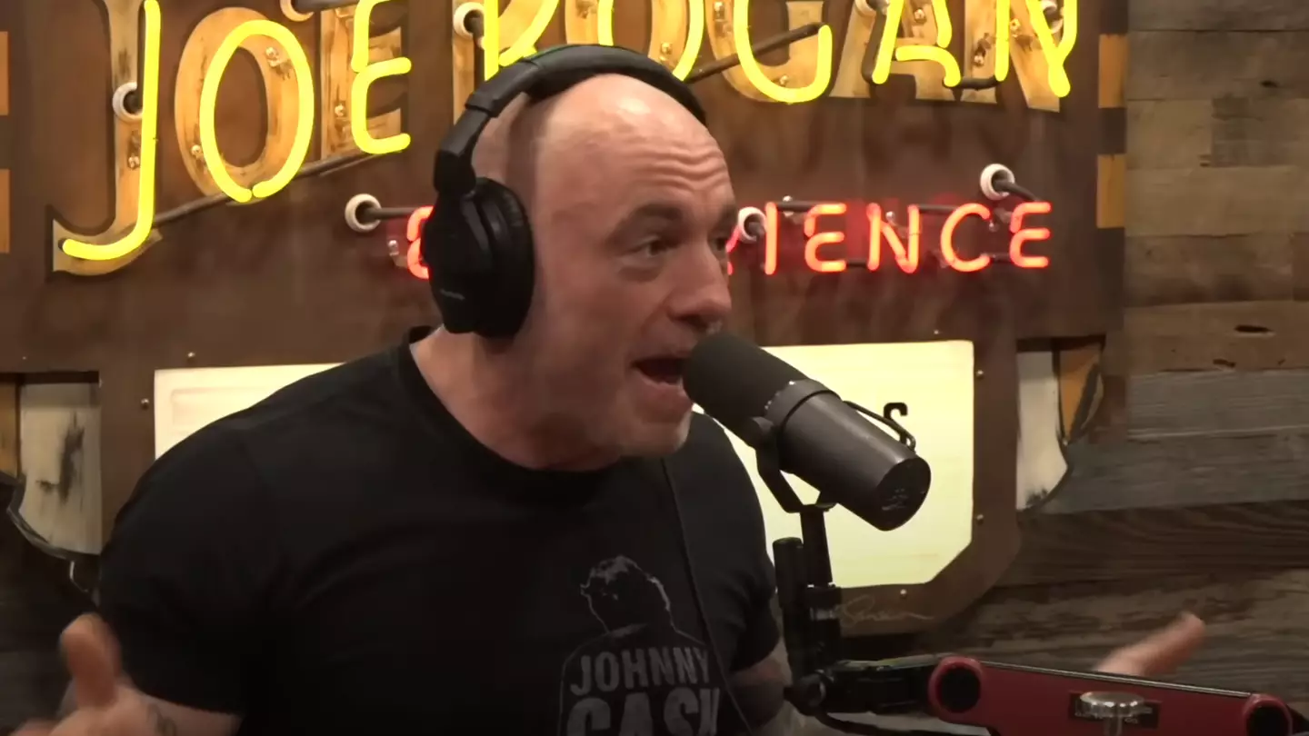 AI could spark $13,000,000,000,000 boom despite Joe Rogan guests' bleak prediction for world