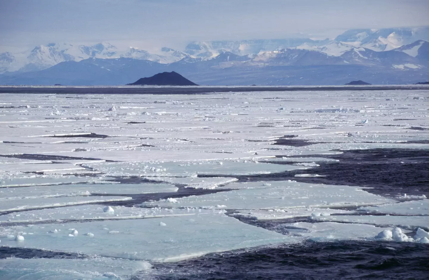 Antarctica has a big old ice sheet (Frances M. Ginter/Getty Images)