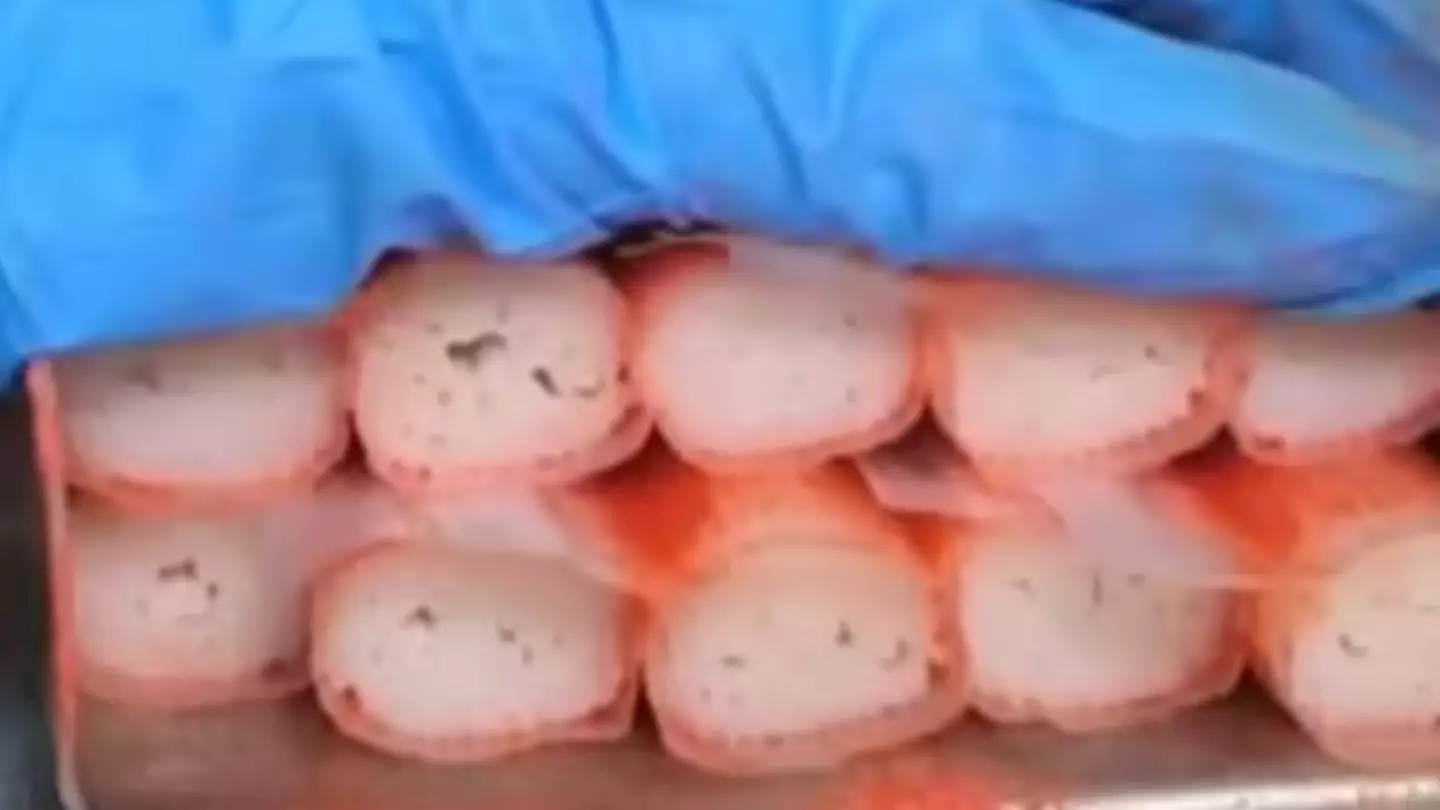 People never want to eat crab sticks again after seeing how they're made