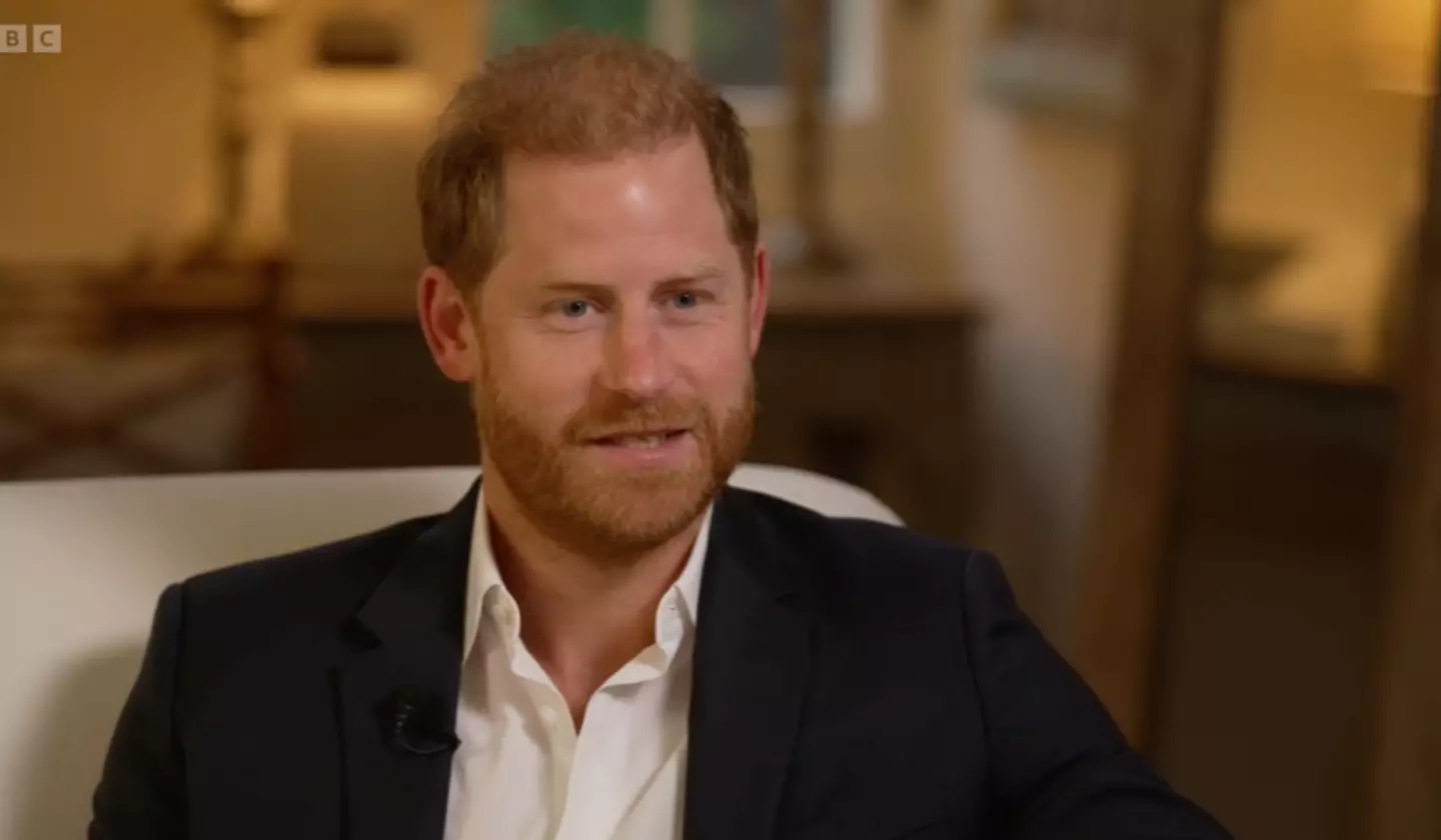 Prince Harry is worried for the safety of his family (BBC)
