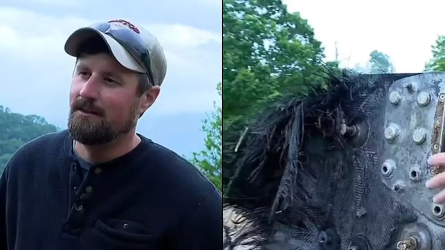 Man adamant that he's stumbled upon a UFO covered in mysterious fur
