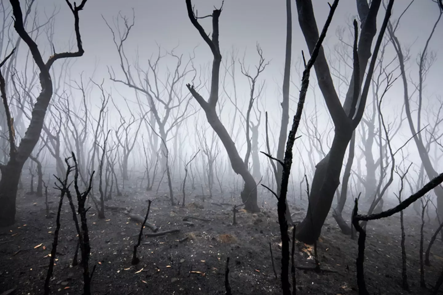 We'll be long gone before this happens (Getty Stock Images)