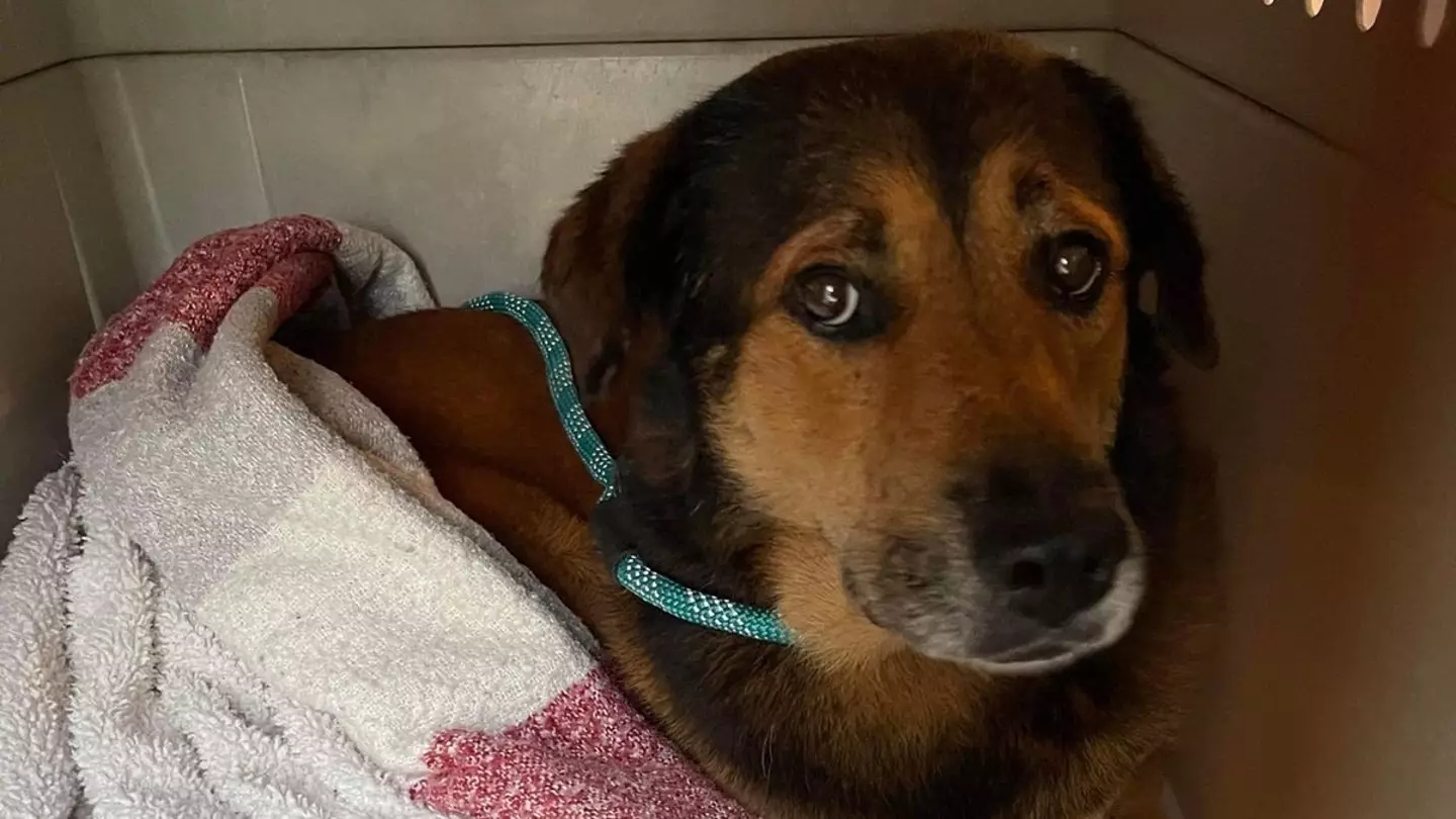 How could you abandon that face?