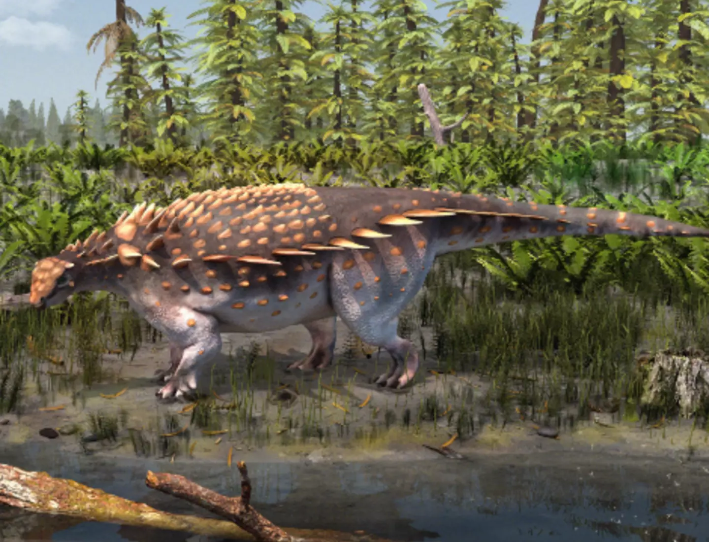 The species is the second ankylosaur discovered on the island.