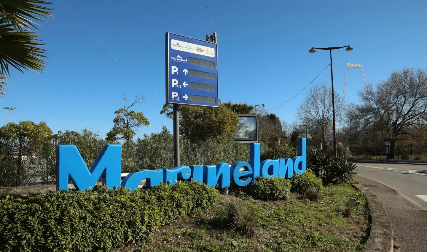 Campaigners warned that Wikie and Keijo 'could be next' if swift action isn't taken (Mohamad Salaheldin Abdelg Alsayed/Anadolu via Getty Images)