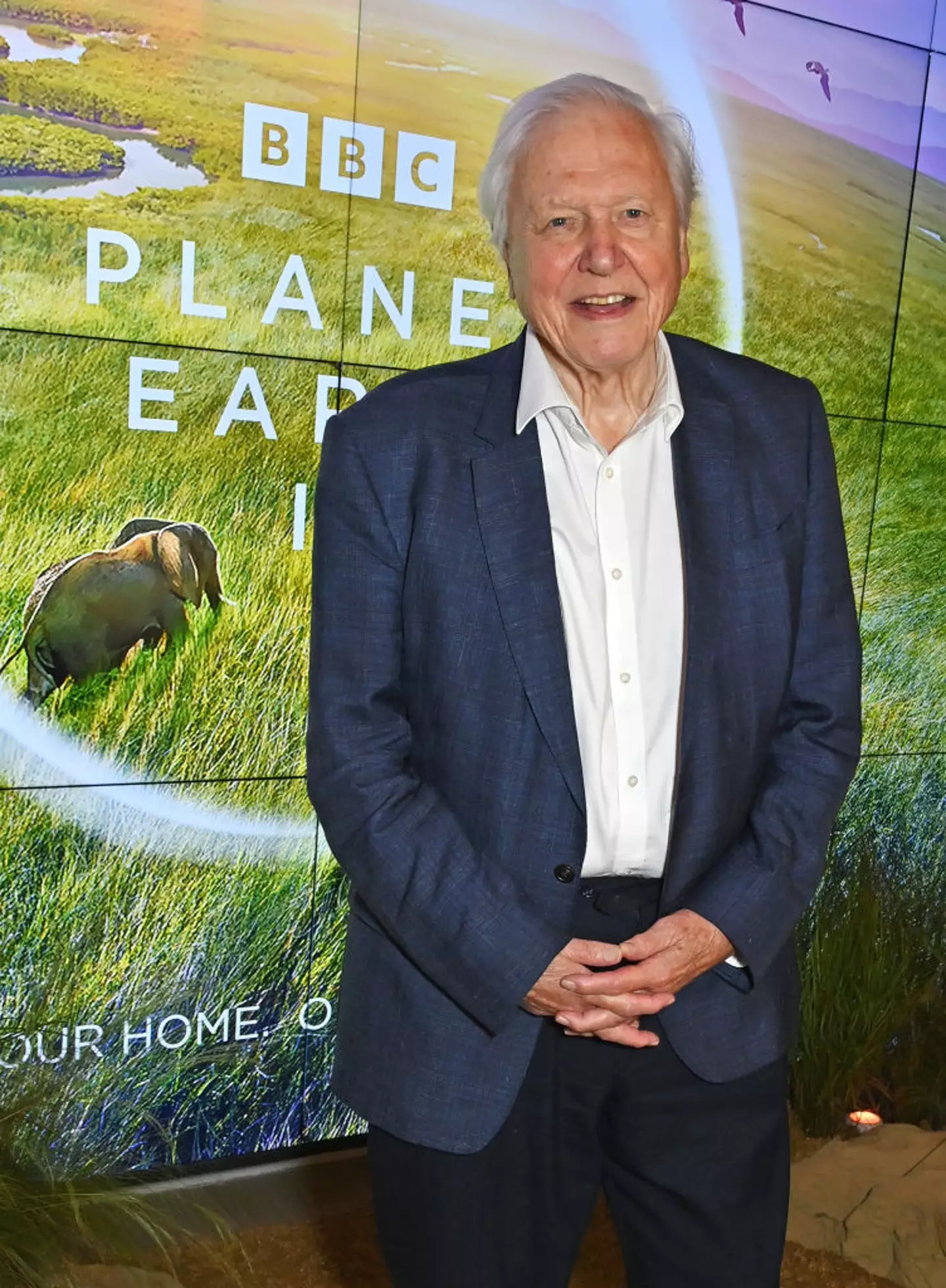 Attenborough became the oldest Daytime Emmy winner at 99 (Dave Benett/Getty Images)