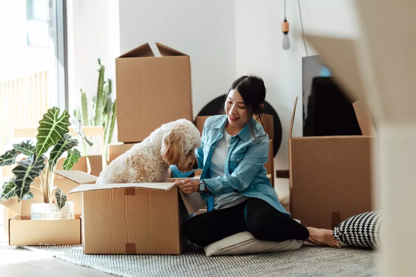 The new law is the biggest shake up for renters in England in three decades (Getty Stock Images)