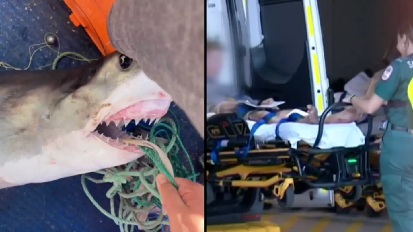 16-year-old boy mauled by shark after accidentally reeling it in from small fishing boat