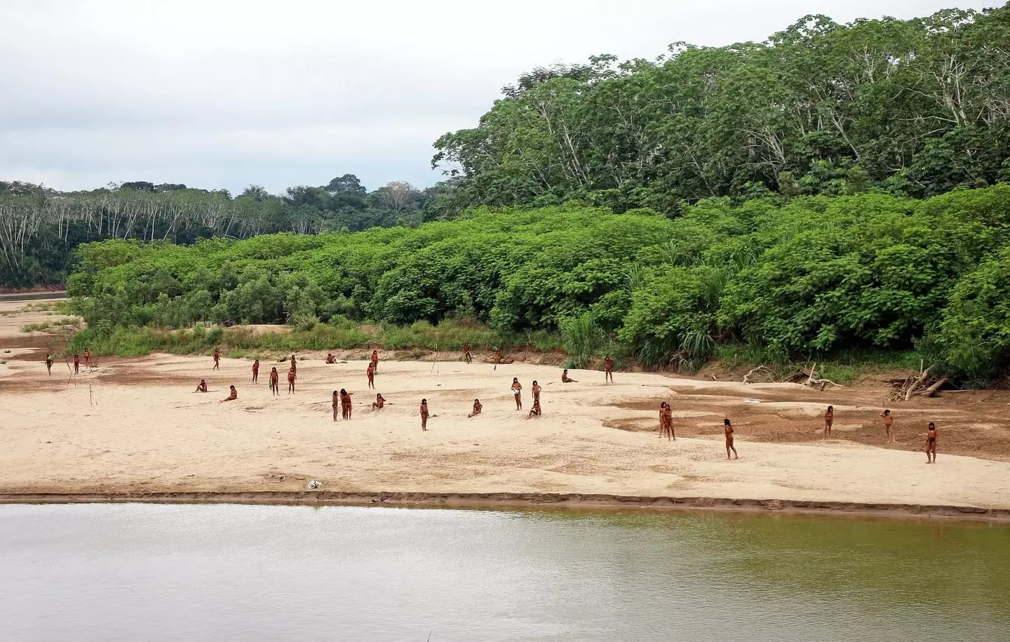 The tribe emerging from their homes in July (Survival International)
