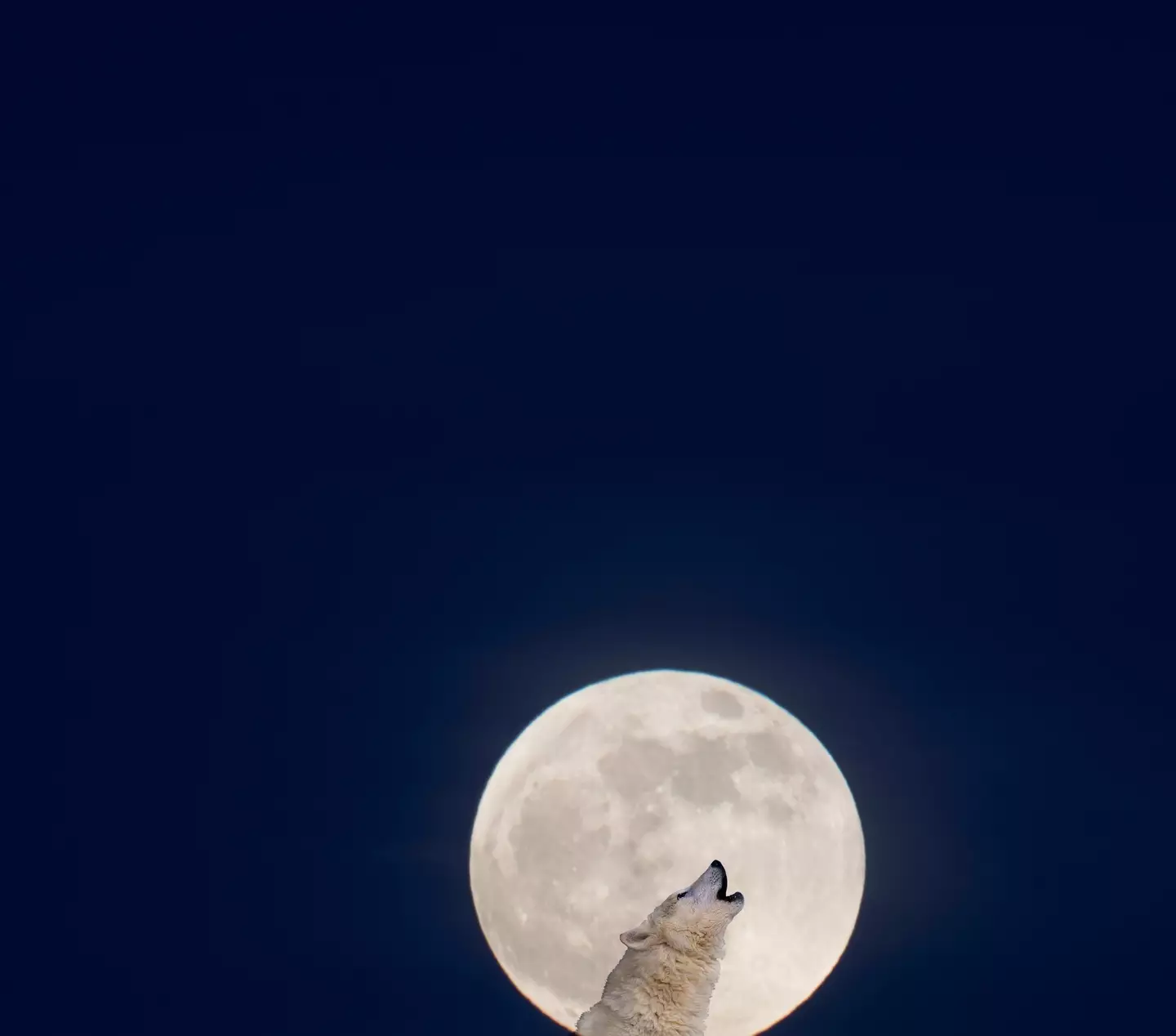 Now that would have been spookier (Getty Stock)