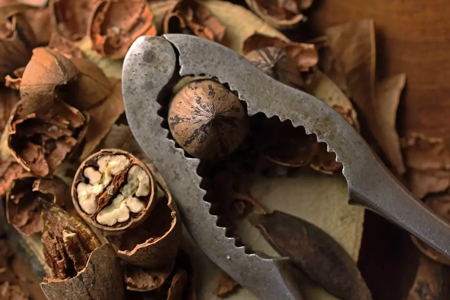 Nuts can wreck havoc on your dog's body (