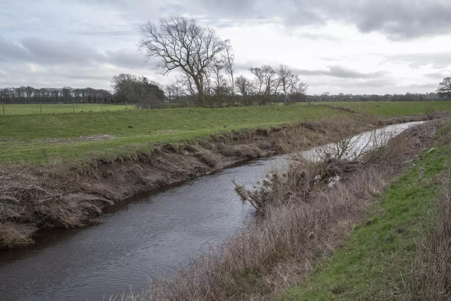 The River Wyre near St Michael's on Wyre, Lancashire.