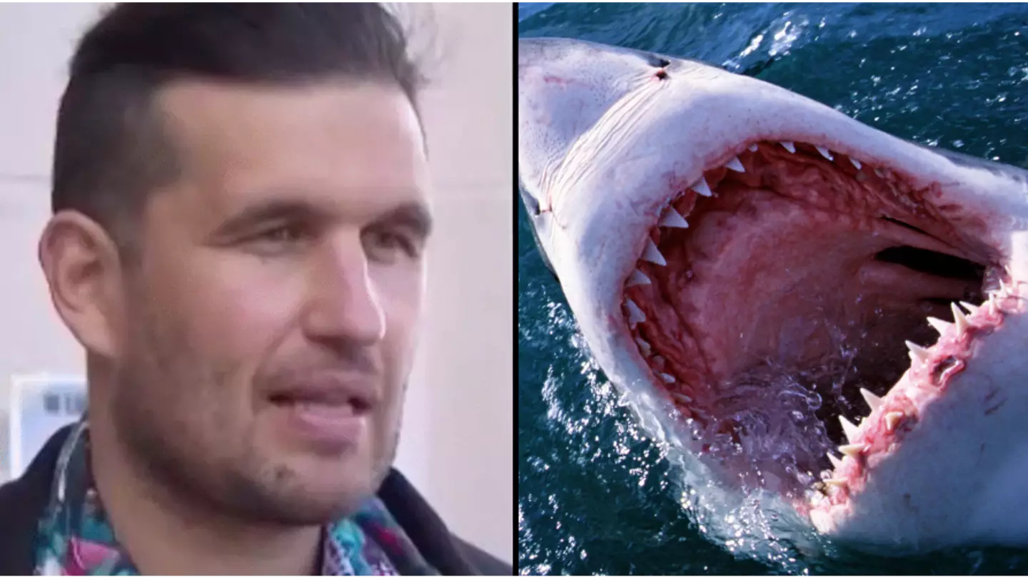 'Luckiest man in the world' escaped Great White Shark attack with just a limp