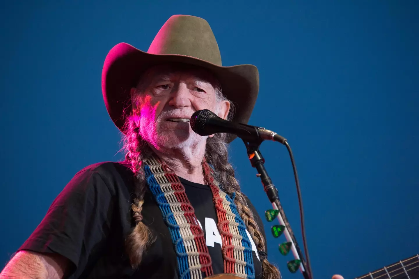 Willie certainly knows a thing or two about cannabis.