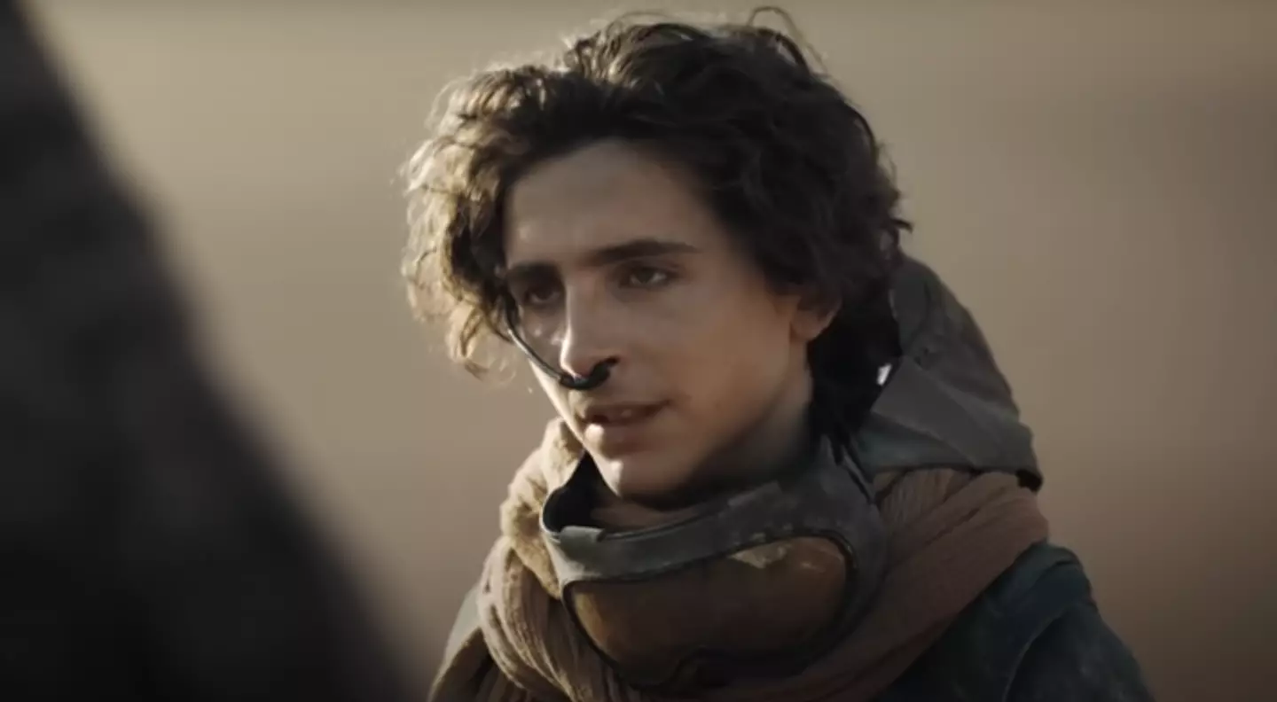 Timothee Chalamet starred in the only 2024 film this reviewer gave a perfect review (Warner Bros)