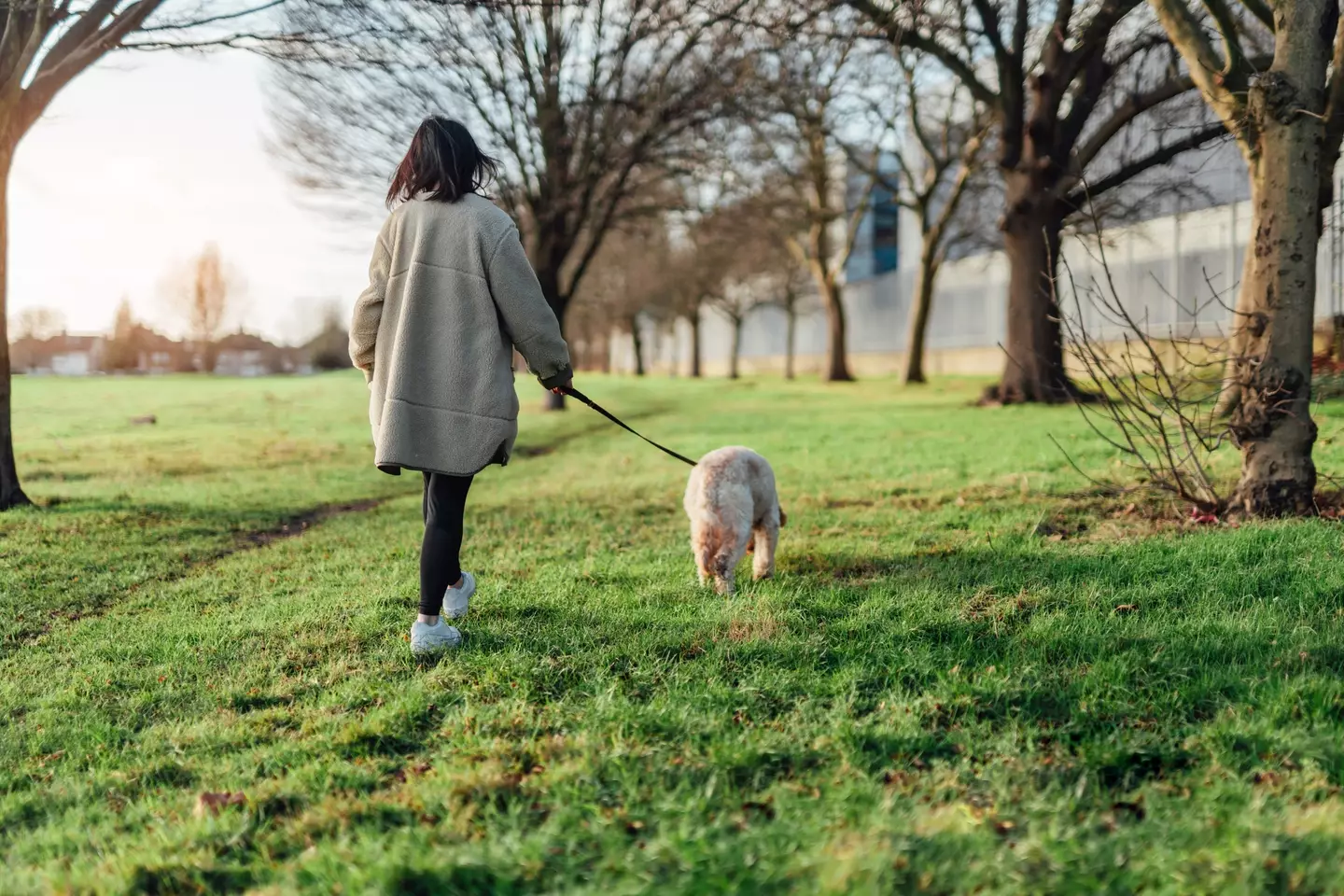 It's best to walk your dog early in the morning or late at night. (Getty Stock Image)
