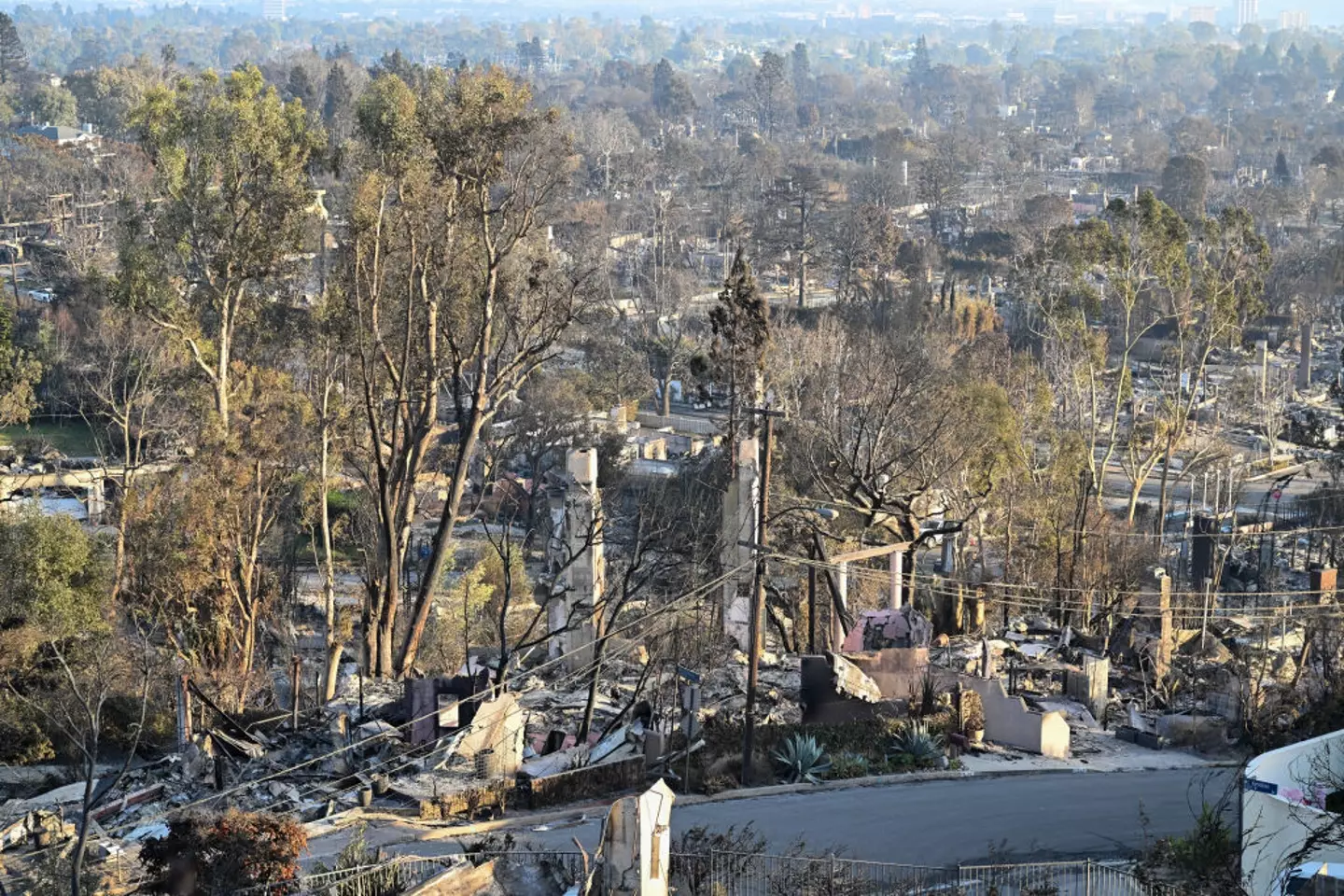 The wildfires first began on Tuesday (Tayfun Coskun/Anadolu via Getty Images)