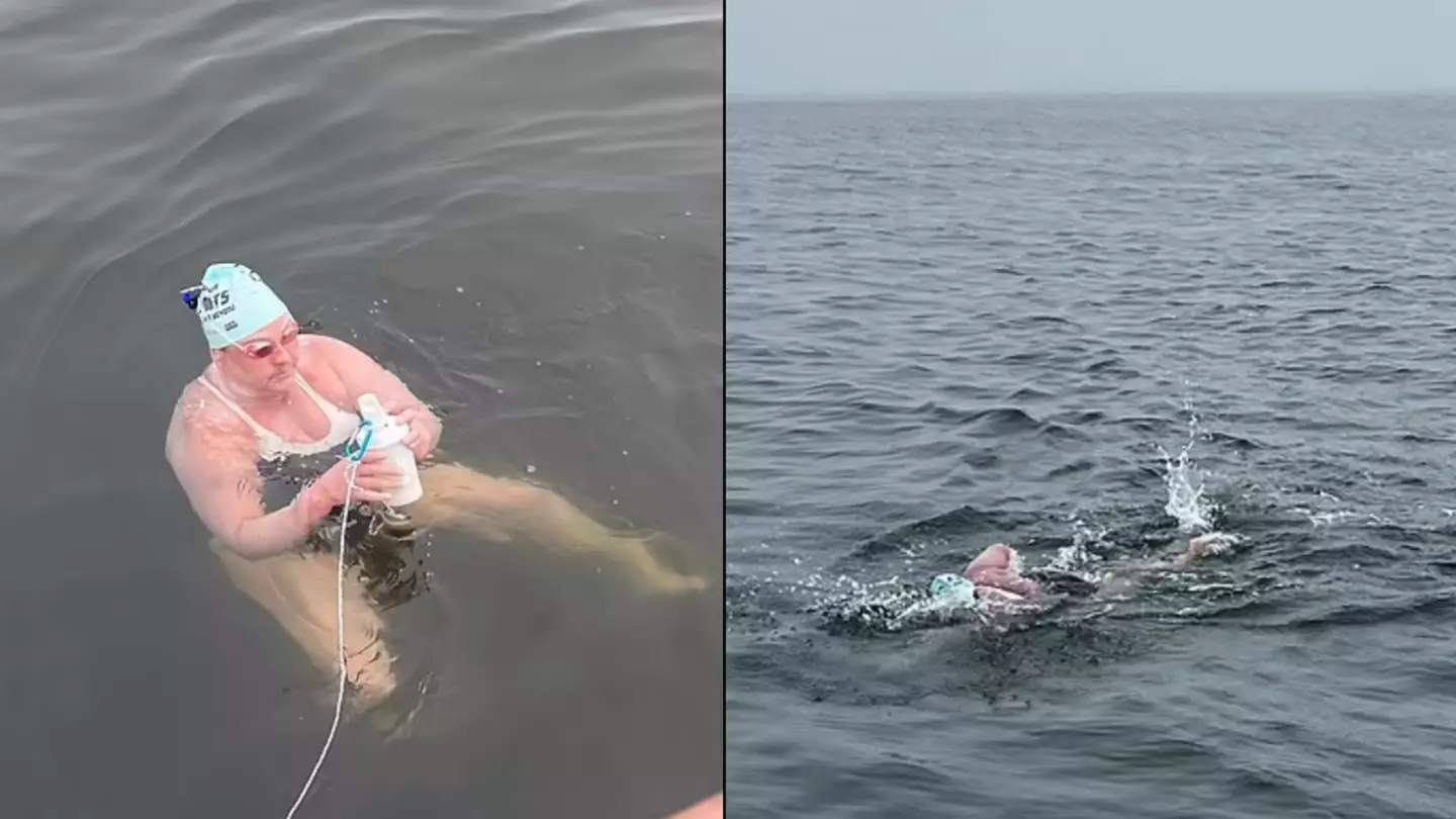 Grandmother becomes first person to complete 17 hour swim through great white shark infested waters