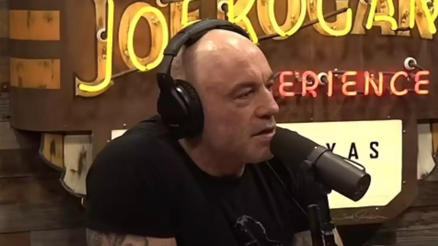 AI experts leave Joe Rogan stunned with bleak prediction about how the world will collapse
