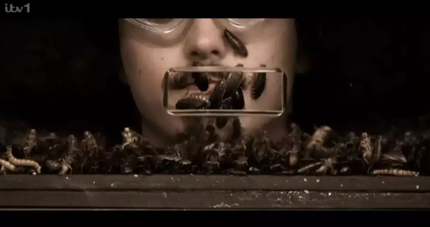 The I'm A Celeb presenters were left wondering who this was (ITV)