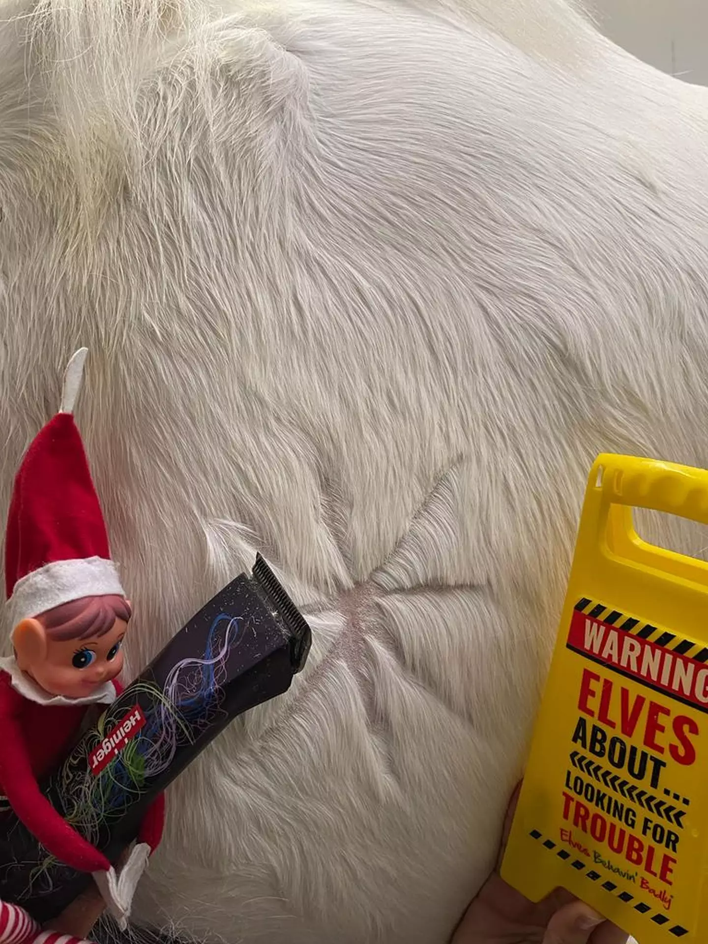 The vets have divided opinion with their animal-themed festive pranks.