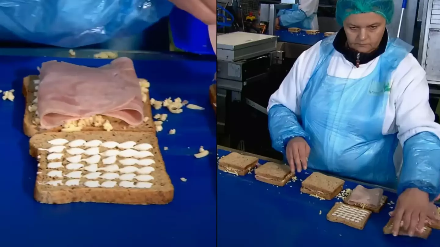 People just discovering how meal deal sandwiches are made vow they'll 'never eat them again'