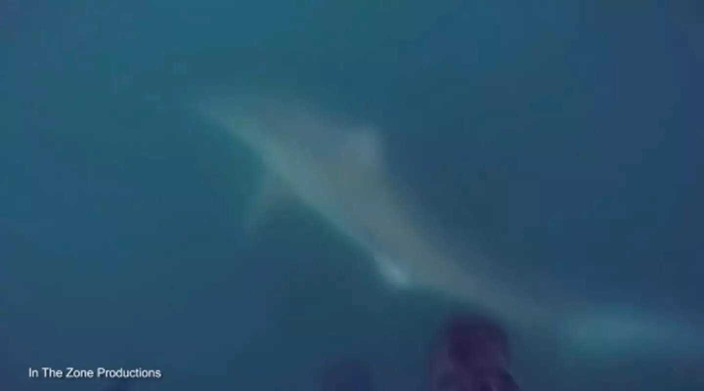 The moment was certainly a terrifying one.