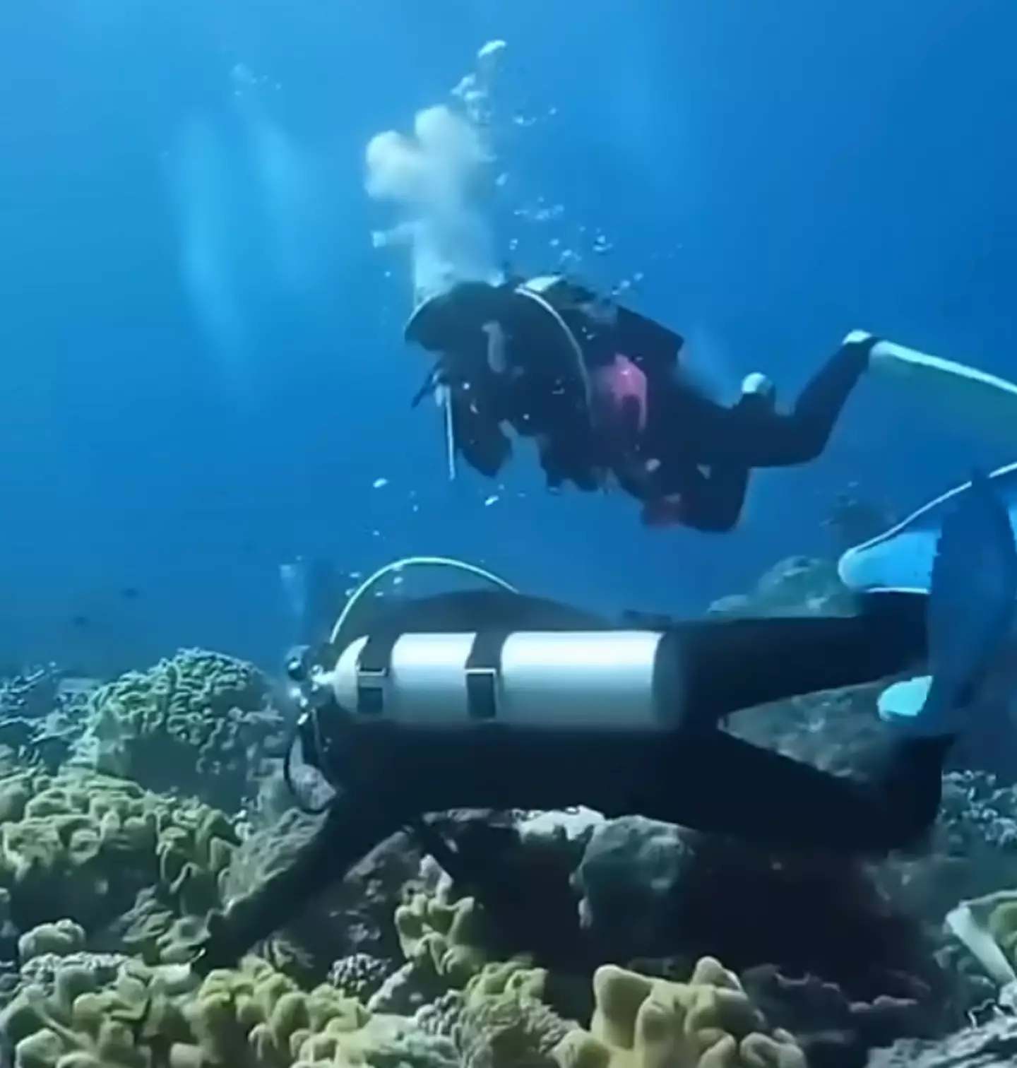 The scuba divers day out was disturbed by an earthquake, which had some interesting effects underwater (YouTube/10 News First/Bruce Diving)