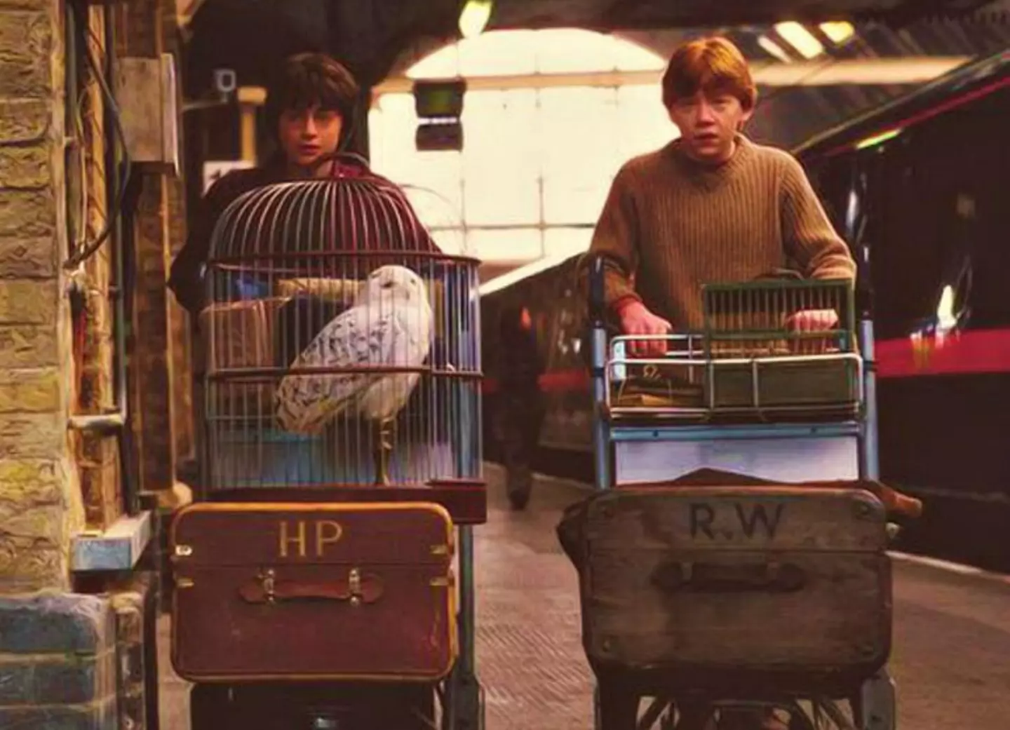 Daniel Radcliffe and Rupert Grint in Harry Potter and The Philosopher's Stone.