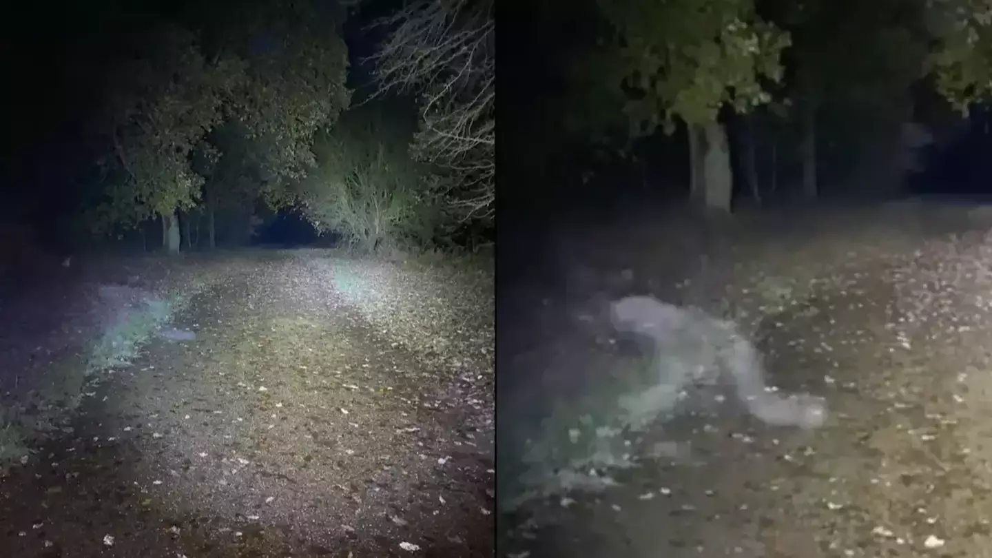 Moment dog walking couple spot 'demonic figure' stalking them in national trust park