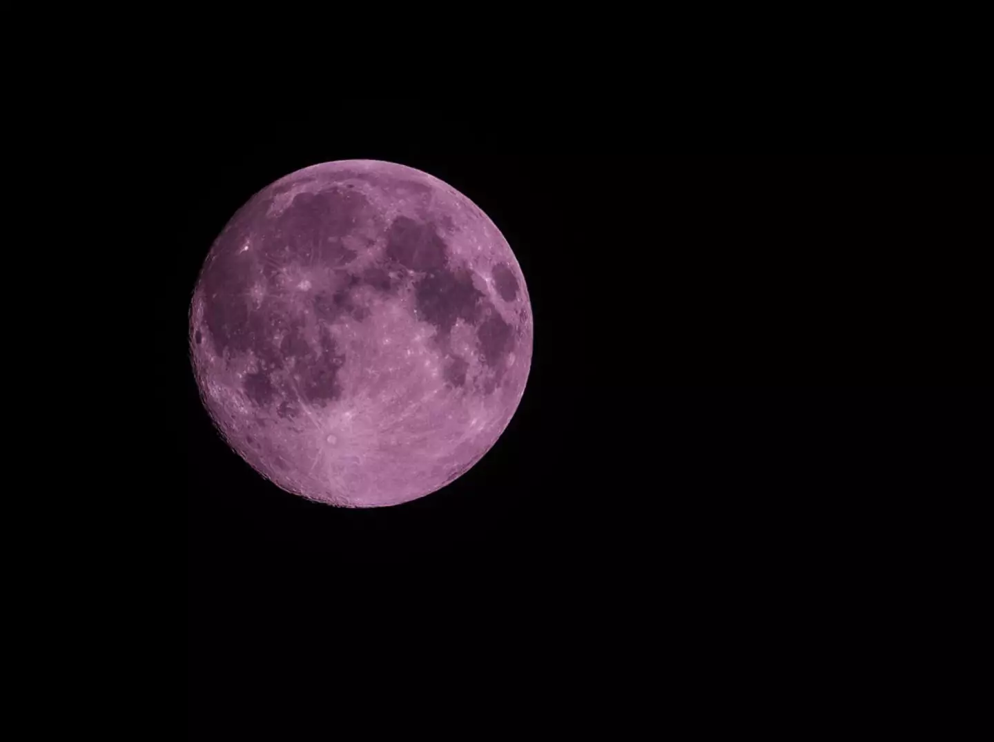 You'll be able to see the pink moon at full illumination very soon.