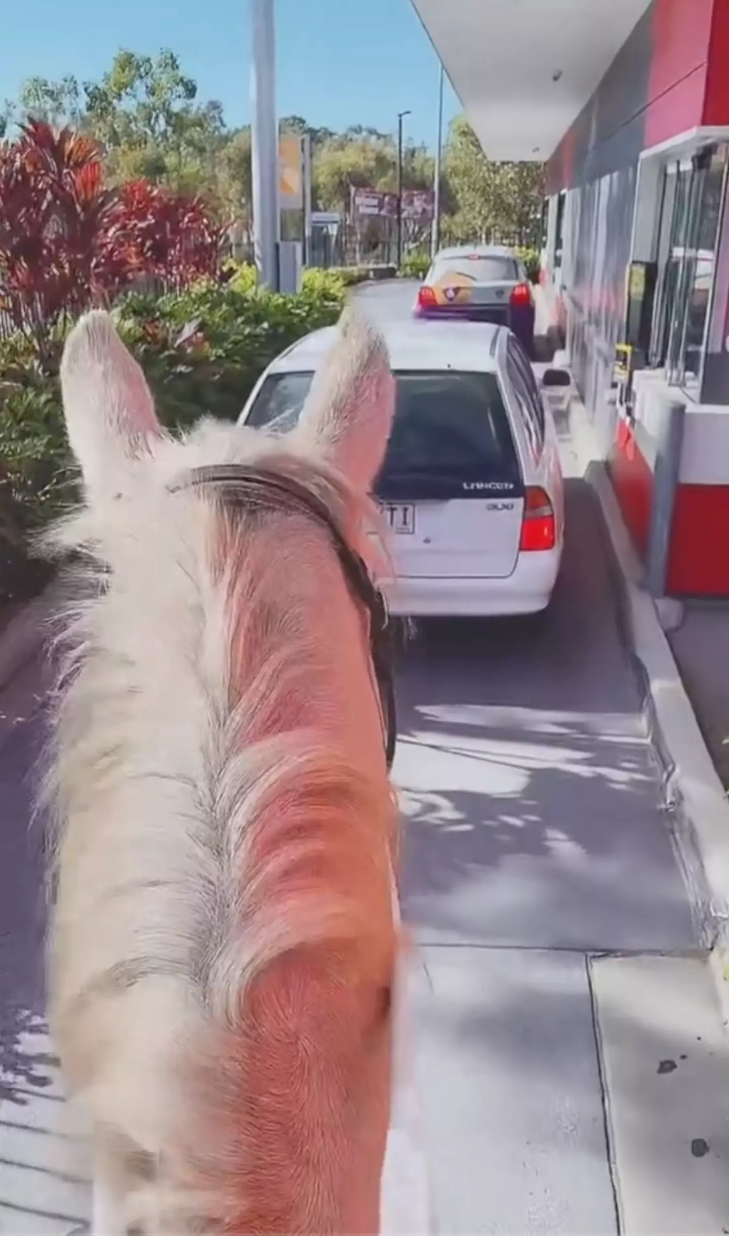 The woman got what she came for in the end.