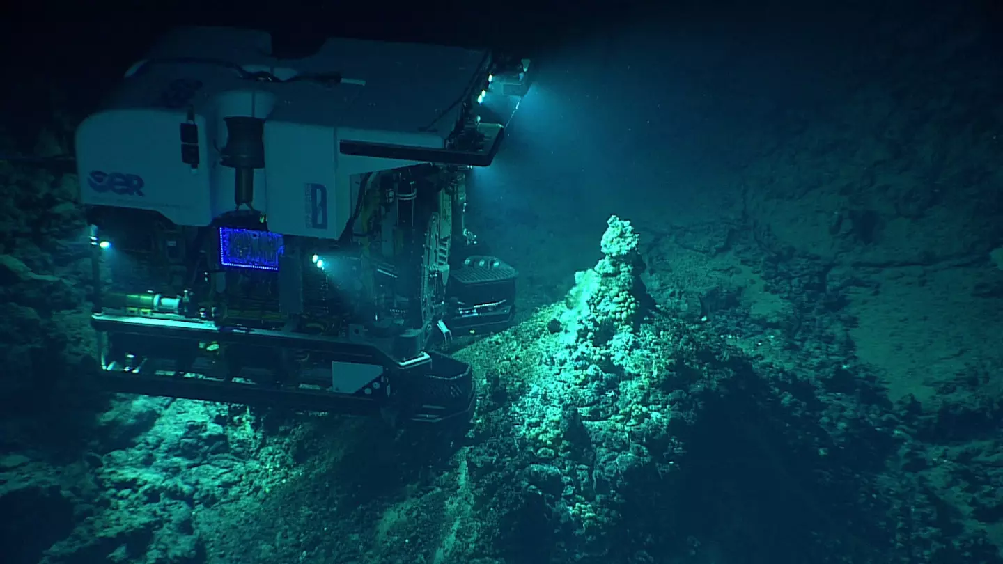 A deep-ocean submersible uses its lights to illuminate a hydrothermal vent field at Chammoro Seamount, within the Mariana Trench (NOAA Office of Ocean Exploration and Research/NOAA)