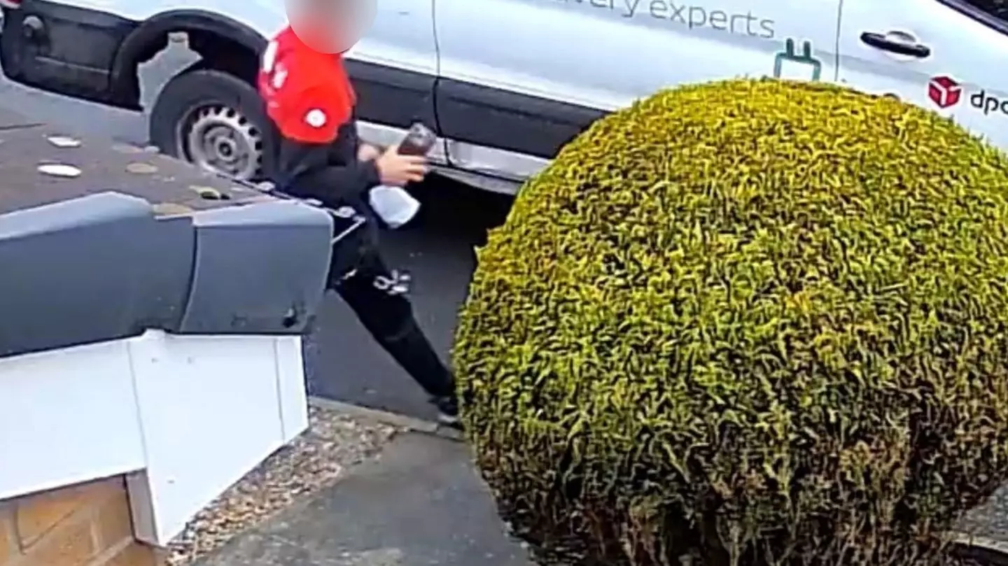 Kennedy News and Media