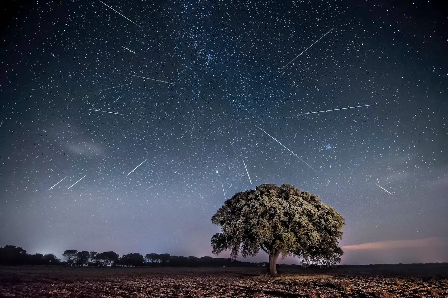 Stargazers could be in for a treat. (Getty Stock Images)