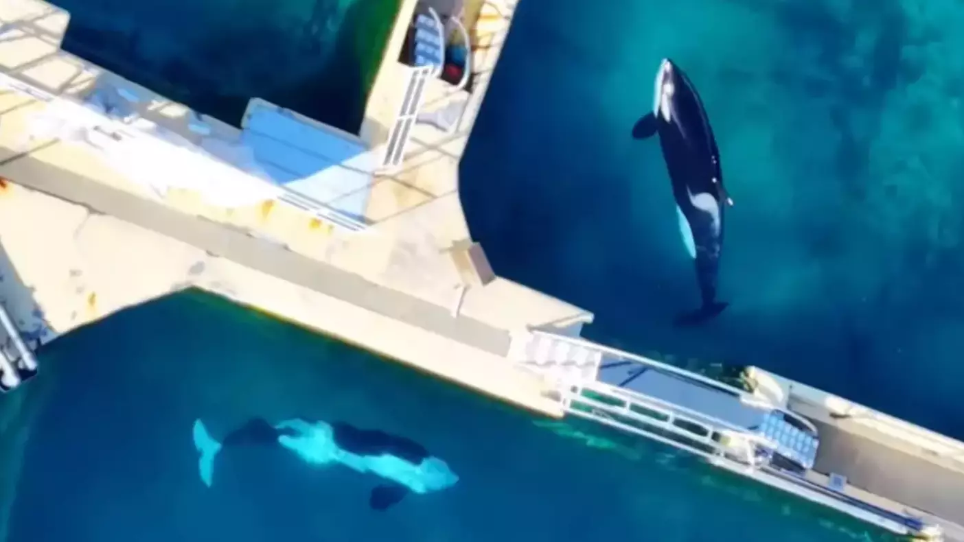 @wearetidebreakers/Instagram