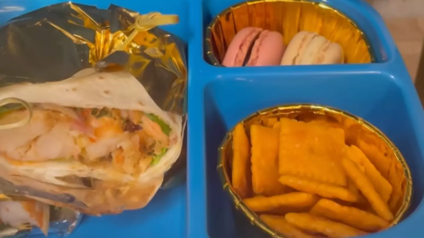 Mum Stuns Internet With Son's Lunchbox After Packing Lobster And Macaroons