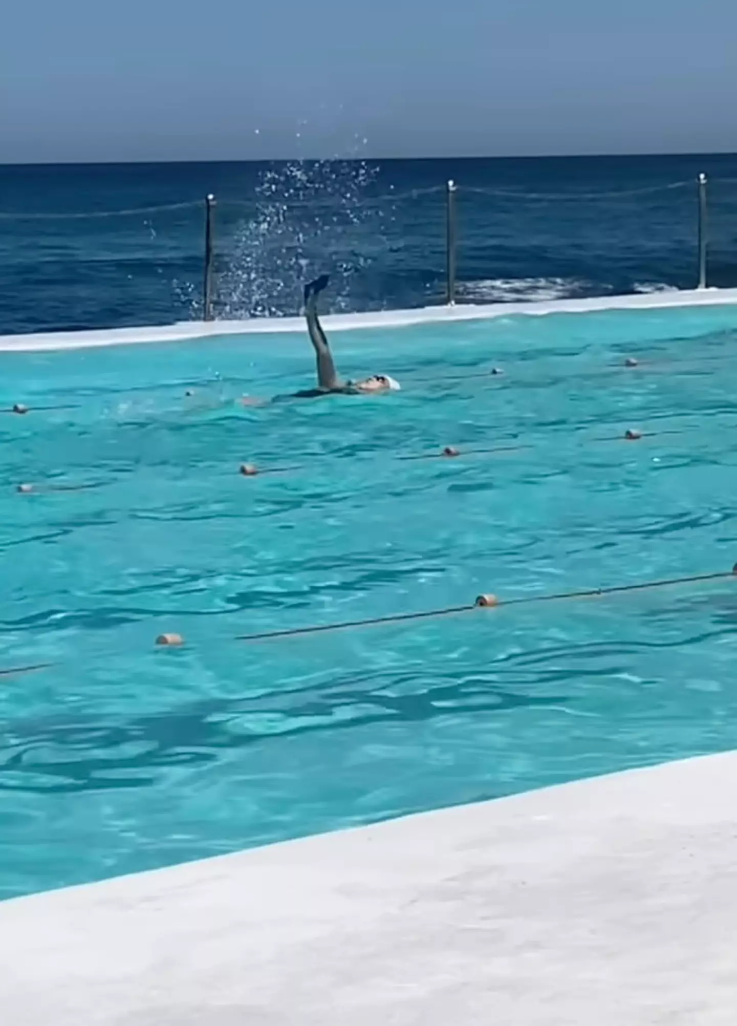 The footage has sparked quite the debate on social media (Instagram/@browncardigan)