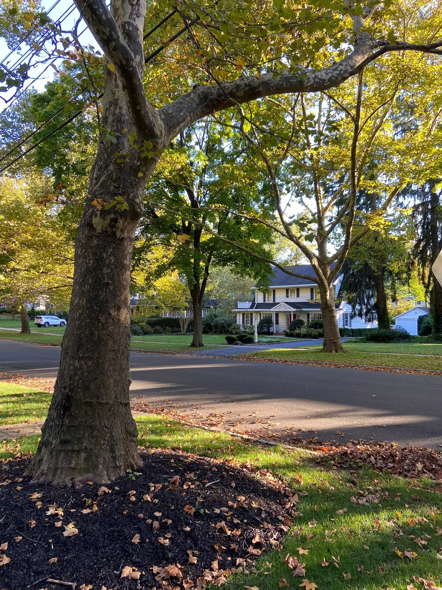 A woman who grew up locally to the house which inspired 'The Watcher' has shared one of her theories on events which unfolded in the first episode.